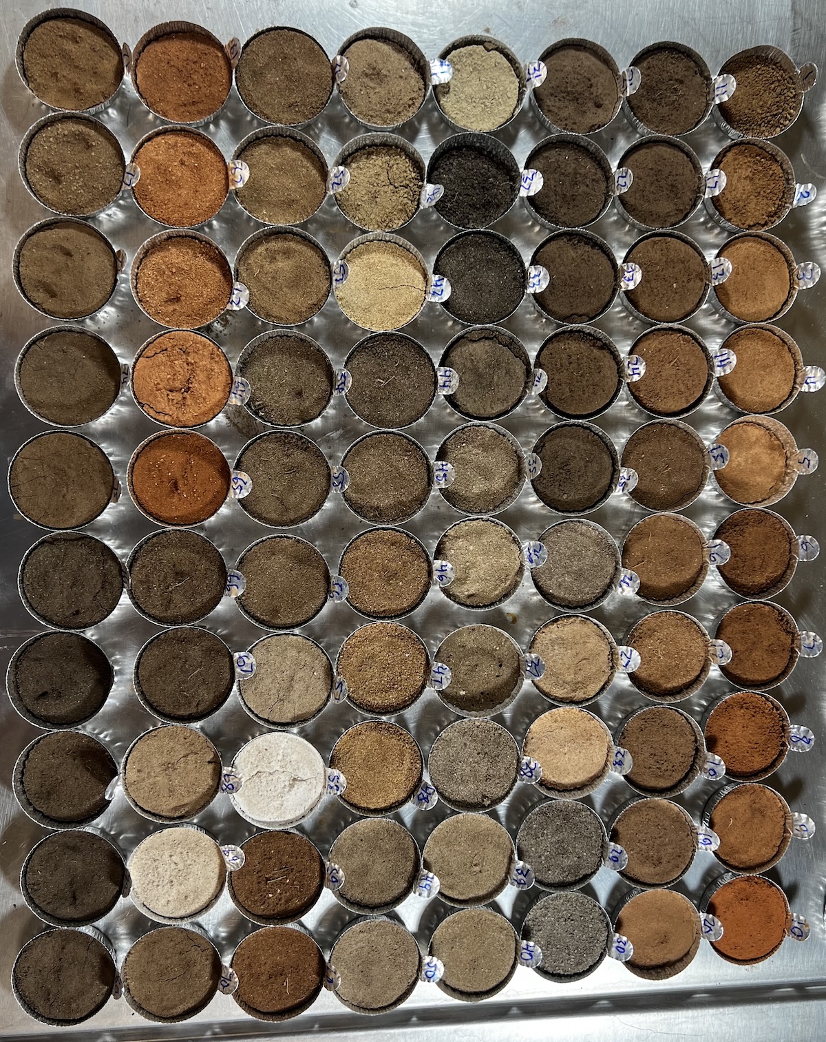 SOILS_Mason Rutgers.jpeg